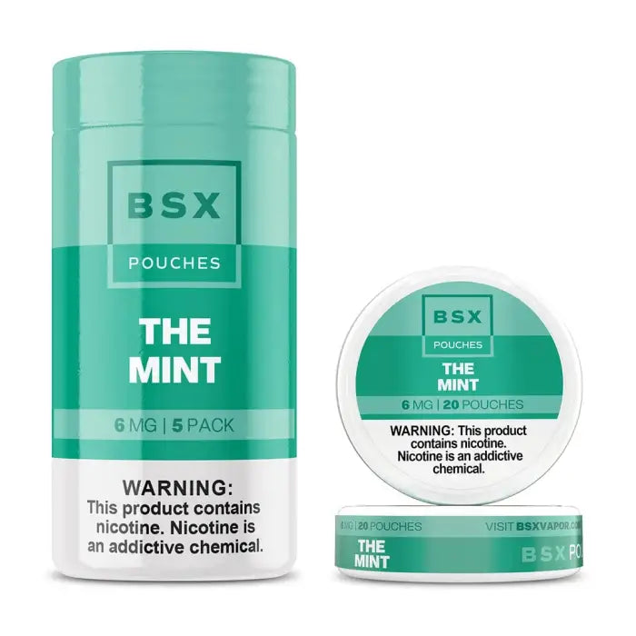 Mint-flavored nicotine pouch product in a teal cylindrical container with accompanying round tin.