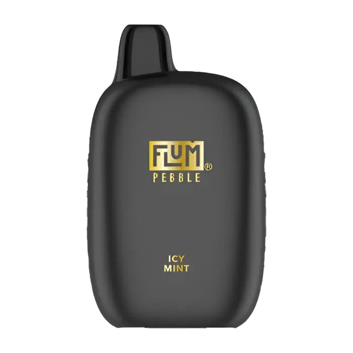 Black electronic vaping device with ’FLUM PEBBLE’ branding and ’ICY MINT’ flavor label.