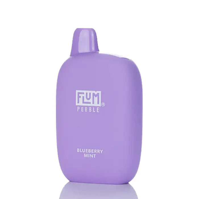 Purple plastic container labeled ’Flum Pebble Blueberry Mint’.